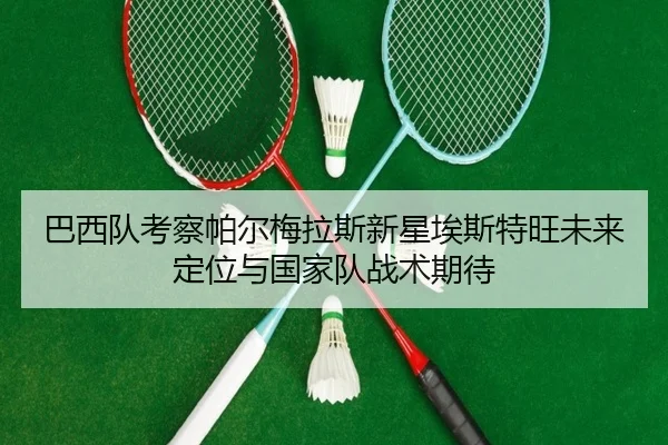 巴西队考察帕尔梅拉斯新星埃斯特旺未来定位与国家队战术期待
